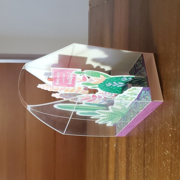 🌵 ADD ON ONLY 🐞 Mothers Day for ANY MOM Greenhouse flowers plantmom ladybug - Picture 5 of 6